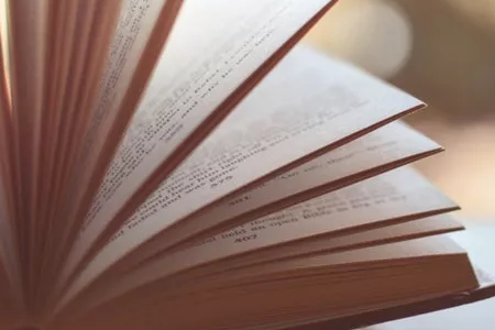 辽宁自考专科和基础科段的区别和联系有哪些？