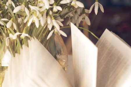 辽宁省自考免考是什么意思？