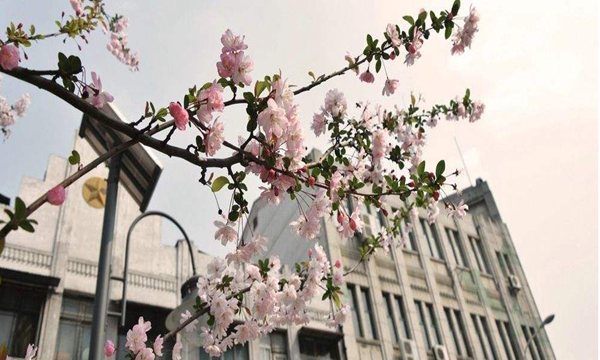 辽宁省自考本科有学位证吗?学位证有什么用?