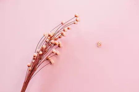 辽宁自考毕业一般论文答辩会问什么问题