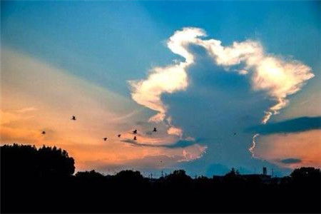 辽宁自考学历有什么用?