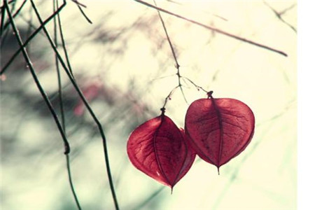 辽宁自考大专需要什么条件?需要多少钱？