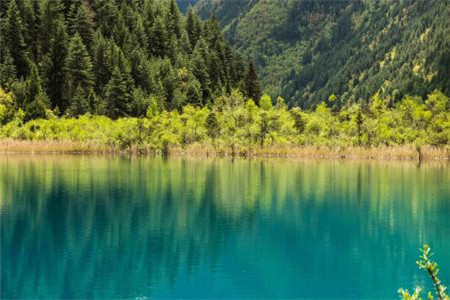 2020年辽宁自考本科可以考司考吗?