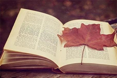 2020年提高辽宁自考分数的8个学习方法