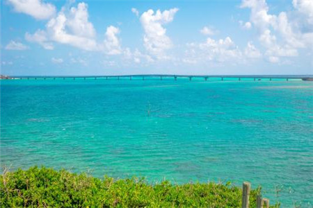 辽宁自考的上班族应该如何学习?