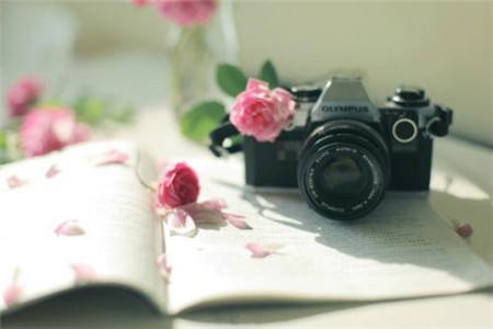 辽宁省自考论文怎么撰写之写好本论