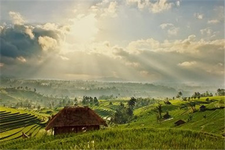 辽宁自考自考报考后可以换专业吗