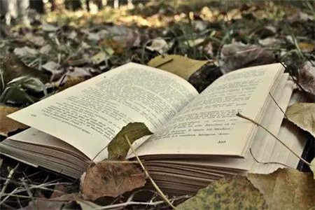 辽宁自考本科一定要有专科毕业证书吗?