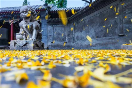 辽宁省初中自考大专需要几年