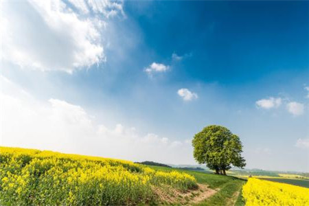 2020辽宁自考报名必看：《马克思主义基本原理》的高频考点(二)