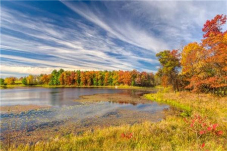 辽宁自考本科与独立本科有什么不同?