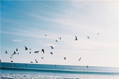 2020辽宁自考本学历可以出国留学吗？