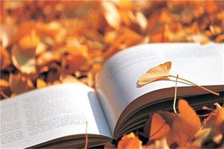 2020年上半年8月辽宁葫芦岛自考时间公布了！